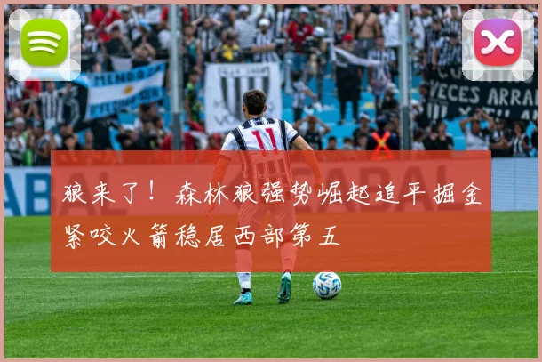 狼来了！森林狼强势崛起追平掘金紧咬火箭稳居西部第五